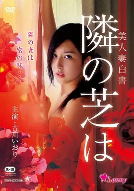 急先锋 蓝光更新